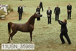 11usn_35988 proof