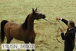 11usn_36002 proof