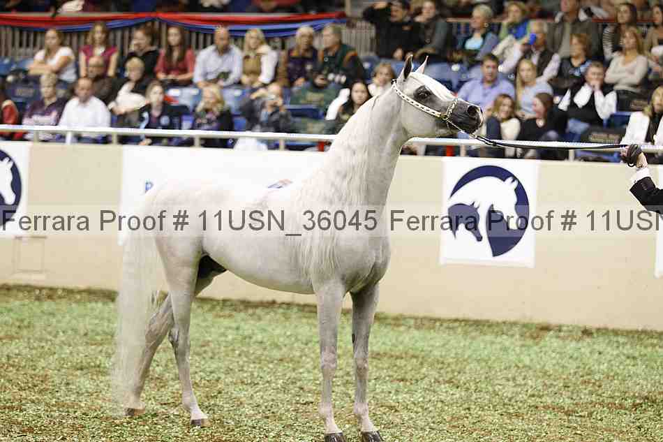 Proof 11usn_36045