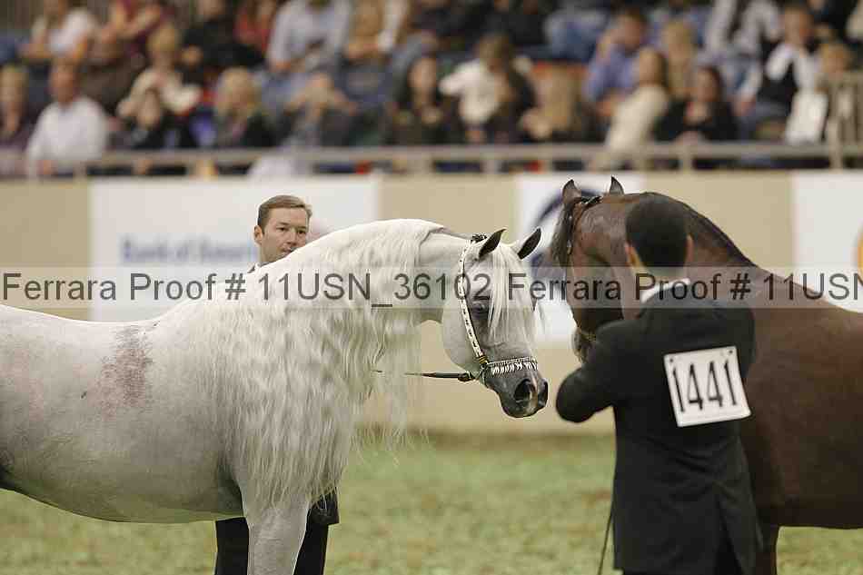 Proof 11usn_36102