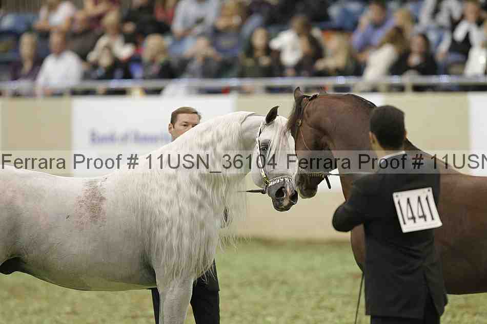 Proof 11usn_36104