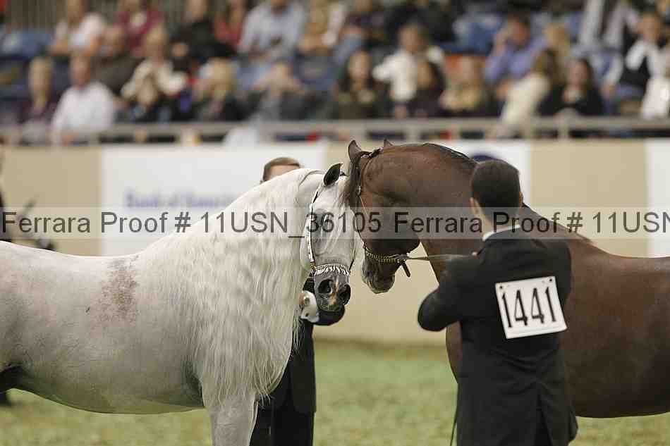 Proof 11usn_36105