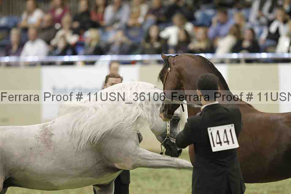 Proof 11usn_36106