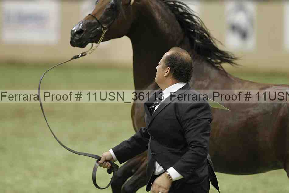 Proof 11usn_36113