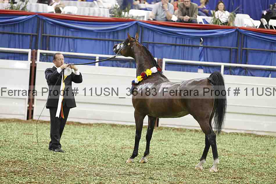 Proof 11usn_36183