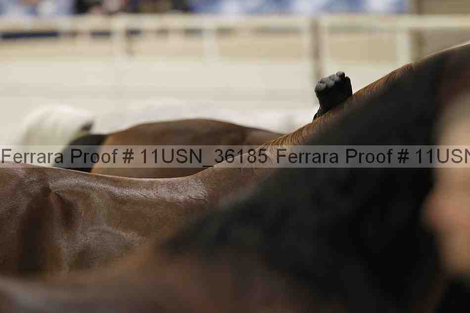 Proof 11usn_36185