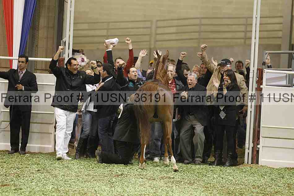 Proof 11usn_36191