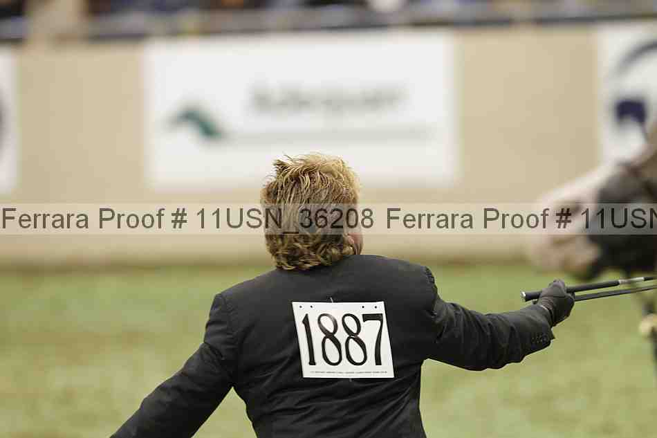 Proof 11usn_36208