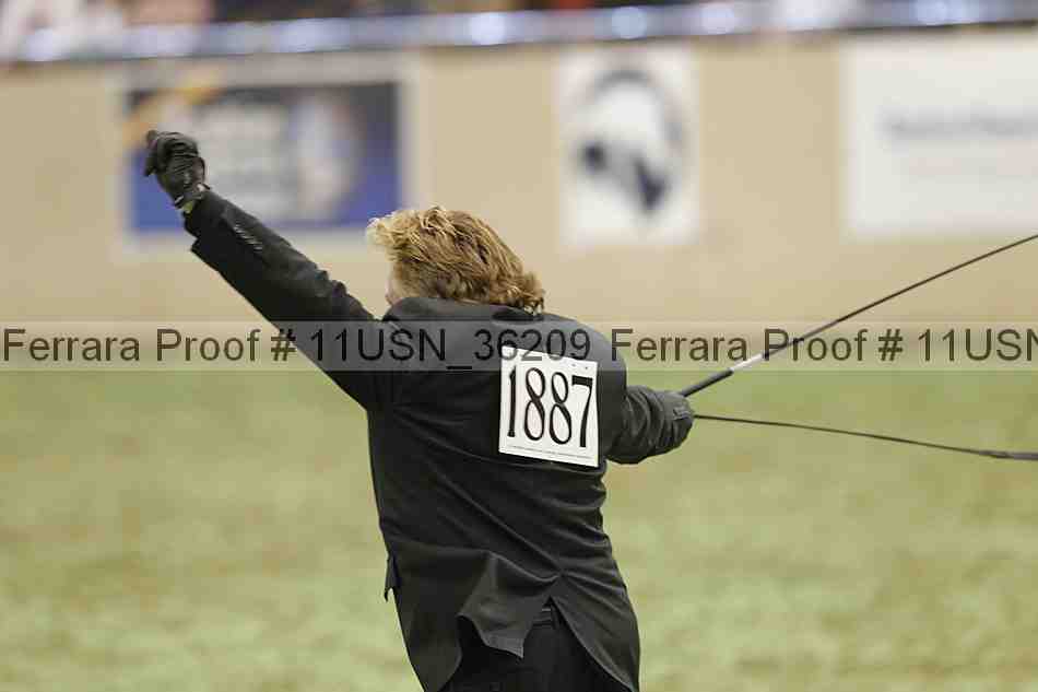 Proof 11usn_36209