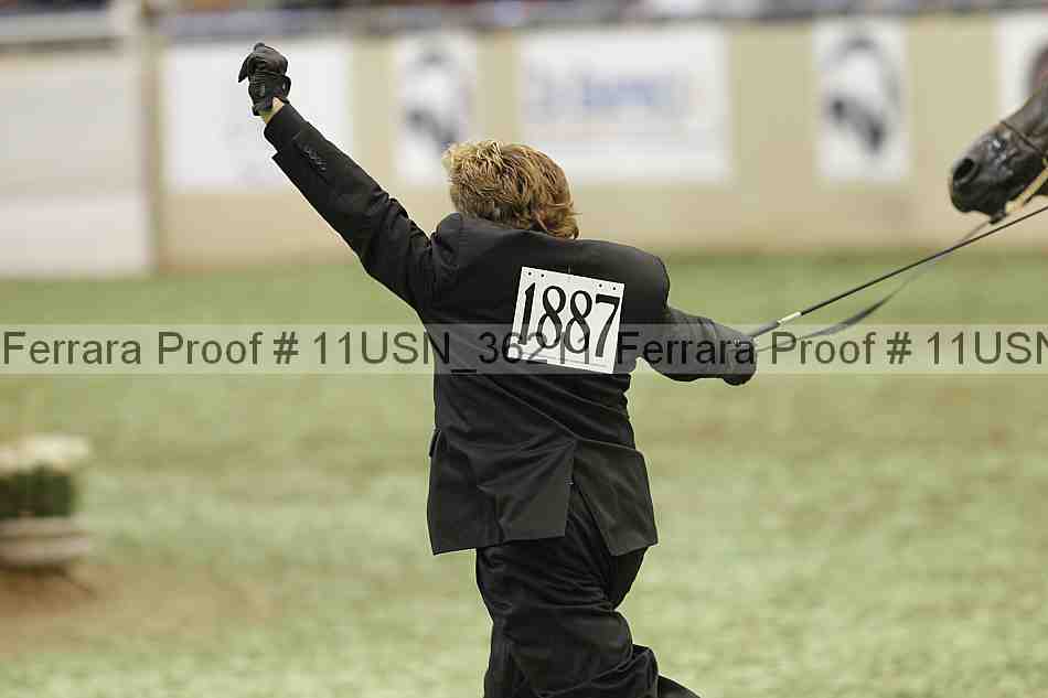 Proof 11usn_36211