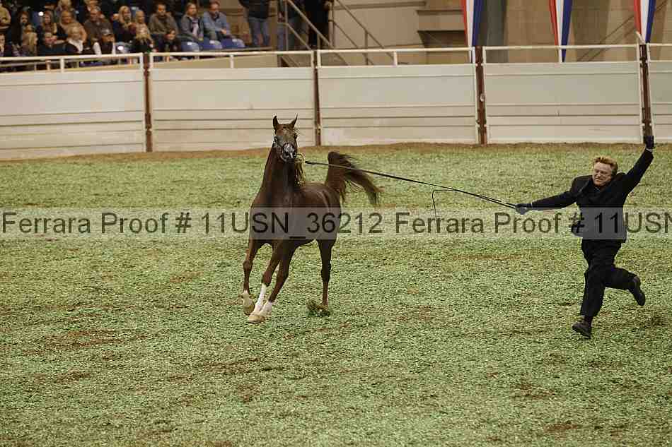 Proof 11usn_36212