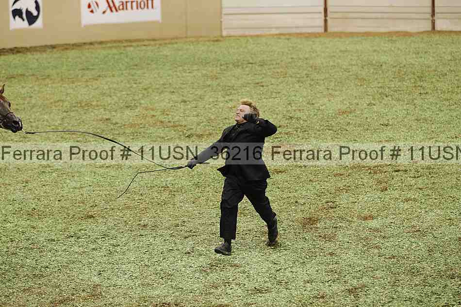 Proof 11usn_36216