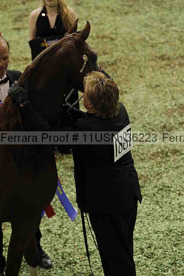Proof 11usn_36223