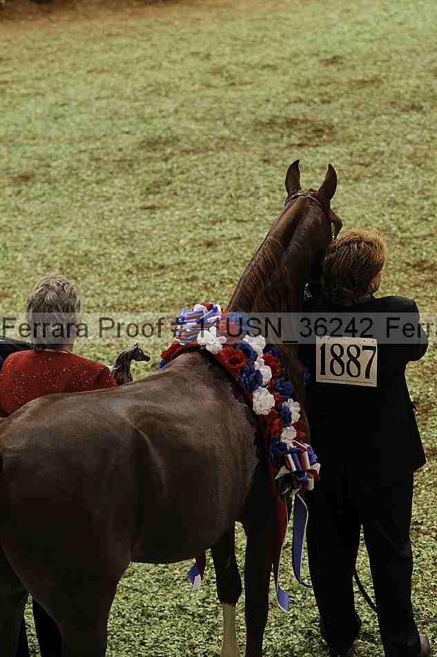 Proof 11usn_36242