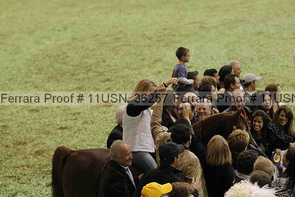Proof 11usn_36257