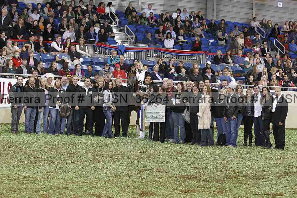 Proof 11usn_36264