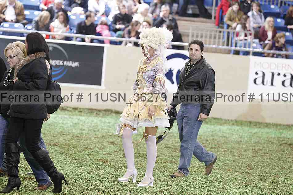Proof 11usn_36279