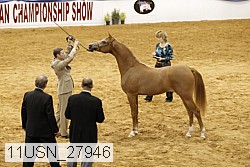 11usn_27946 proof