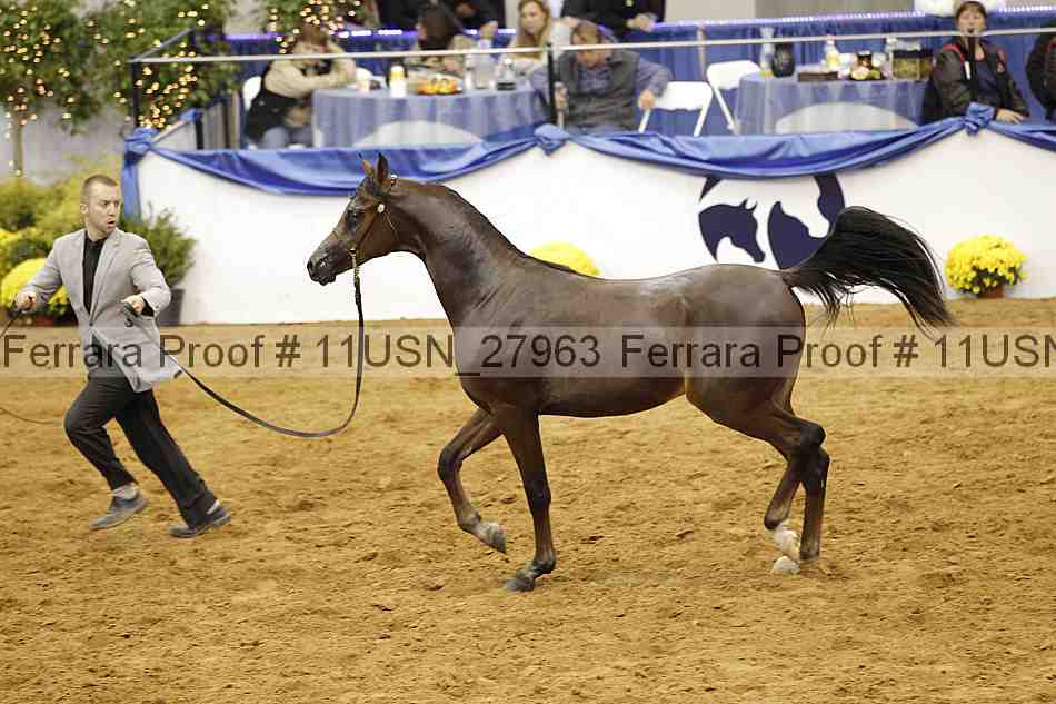 Proof 11usn_27963