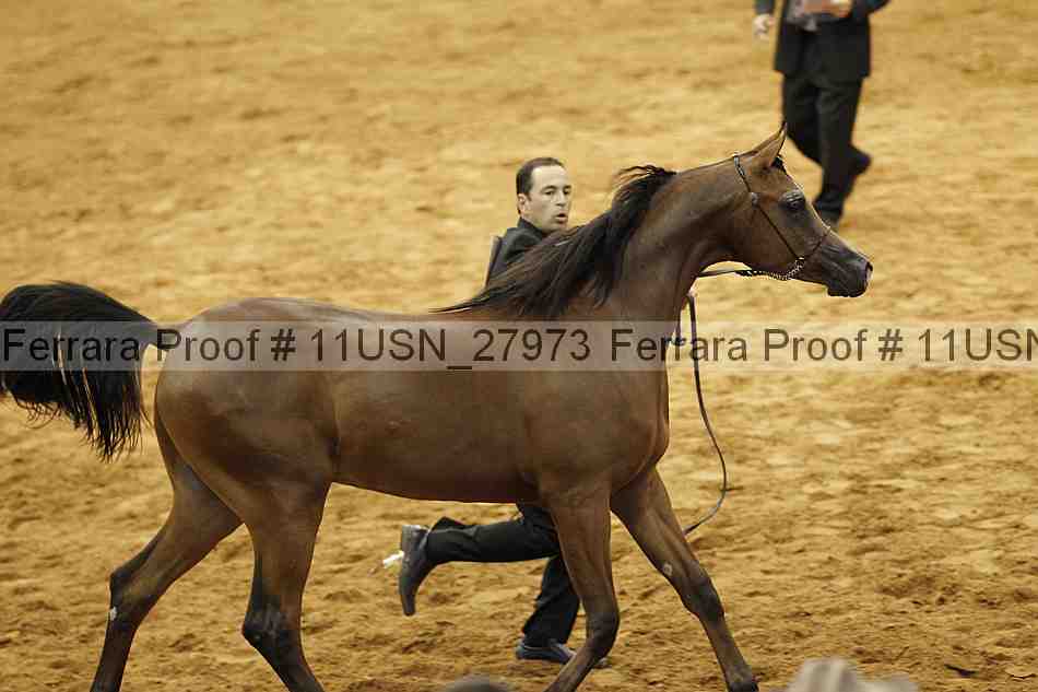 Proof 11usn_27973