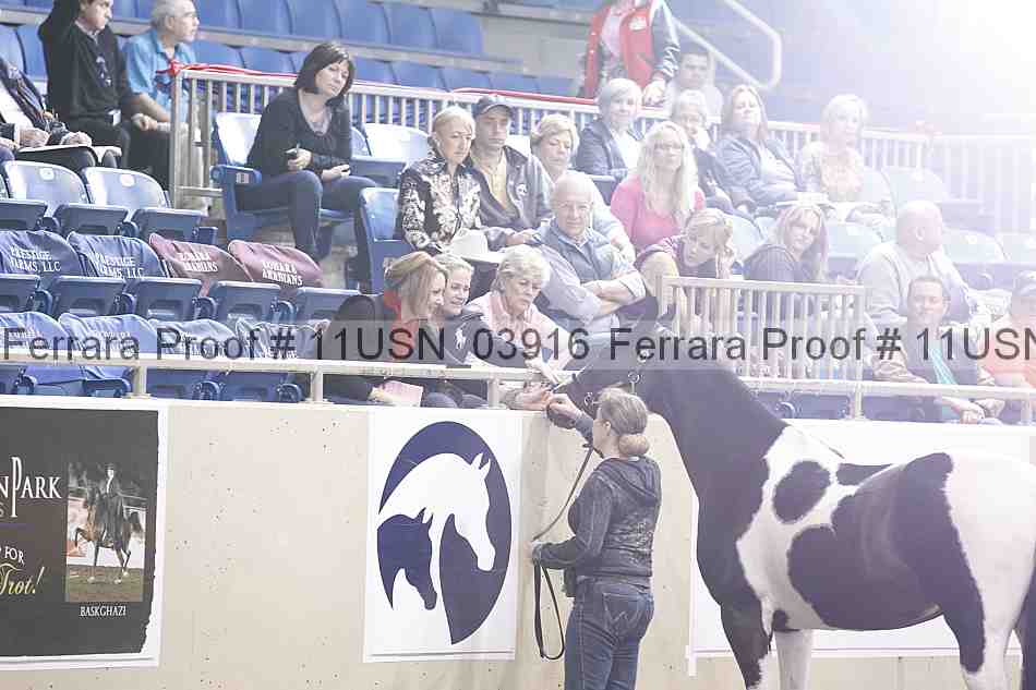 Proof 11usn_03916