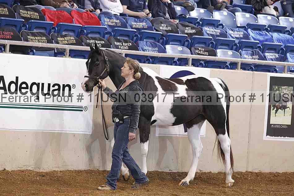 Proof 11usn_03917