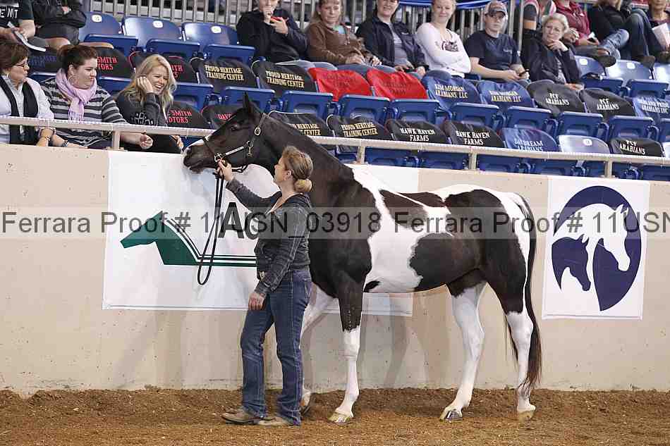 Proof 11usn_03918