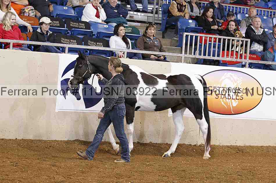Proof 11usn_03922