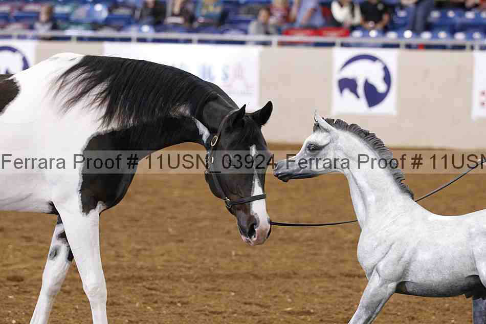Proof 11usn_03924