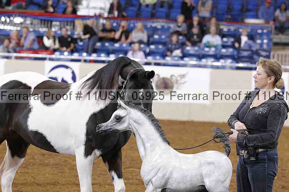 Proof 11usn_03925