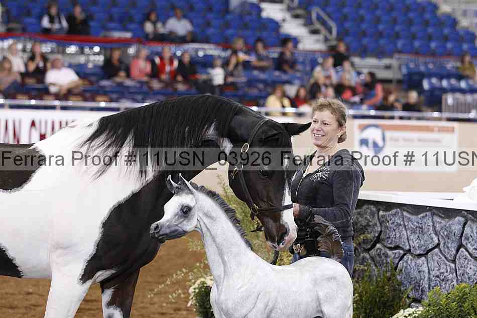 Proof 11usn_03926