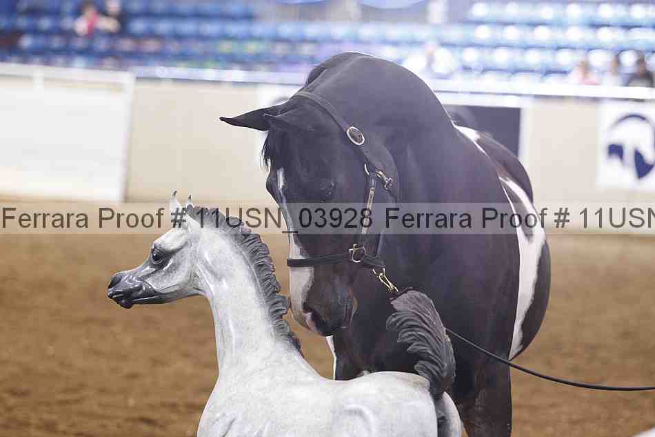 Proof 11usn_03928