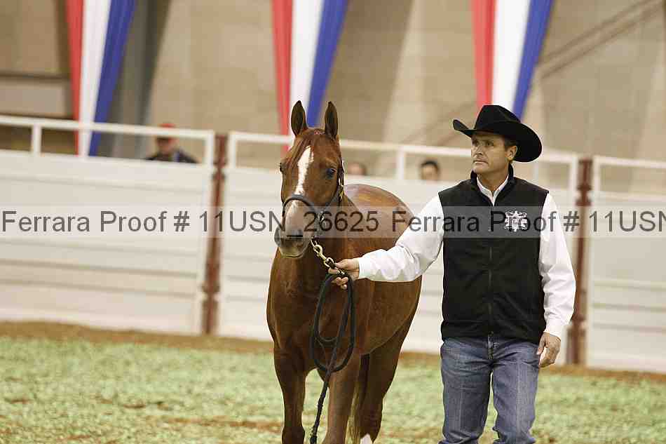 Proof 11usn_26625