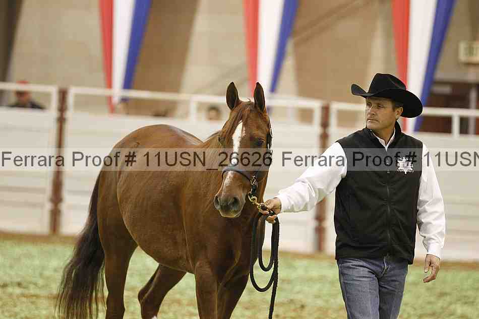 Proof 11usn_26626