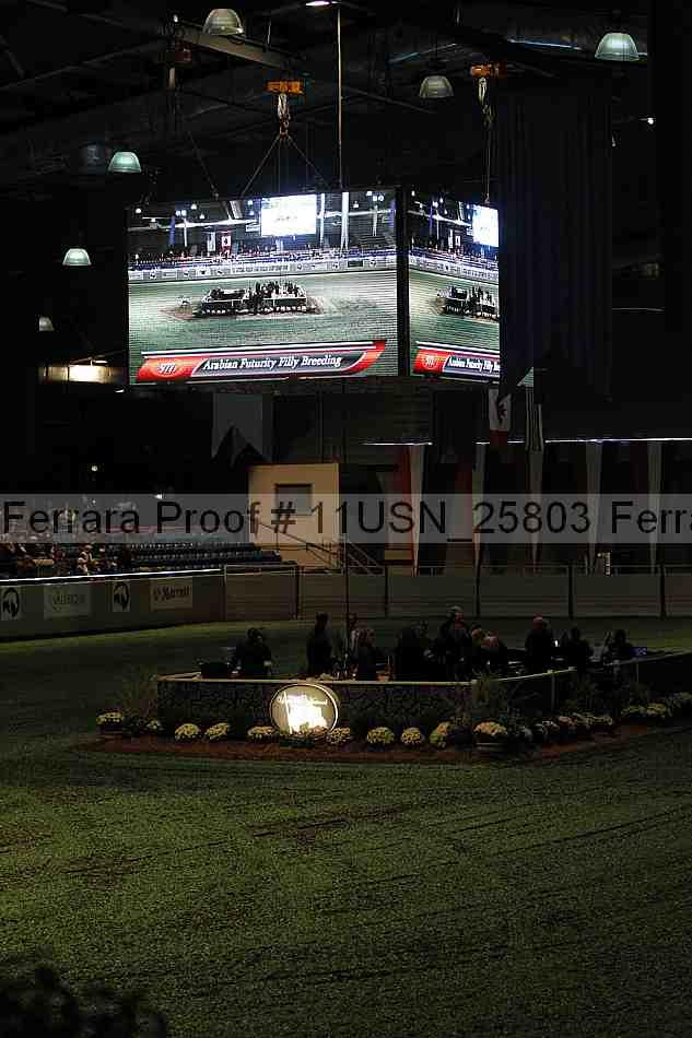 Proof 11usn_25803