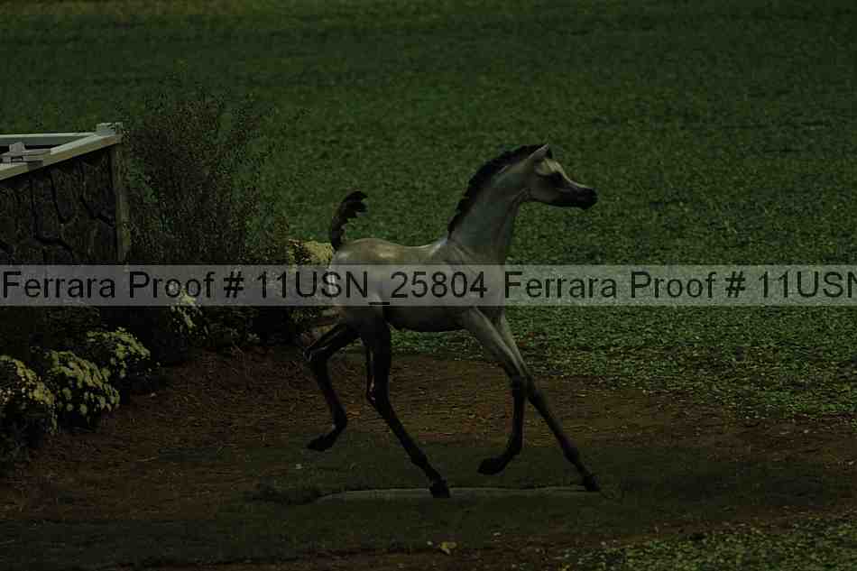 Proof 11usn_25804