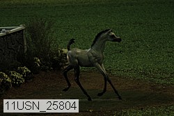 11usn_25804 proof
