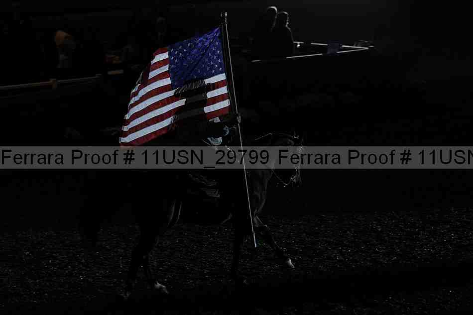 Proof 11usn_29799