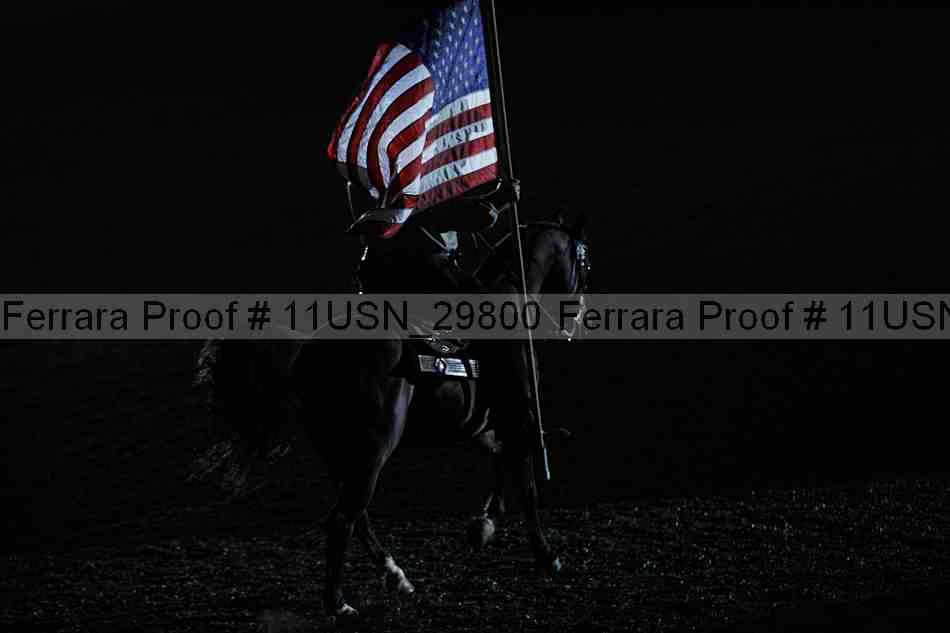 Proof 11usn_29800