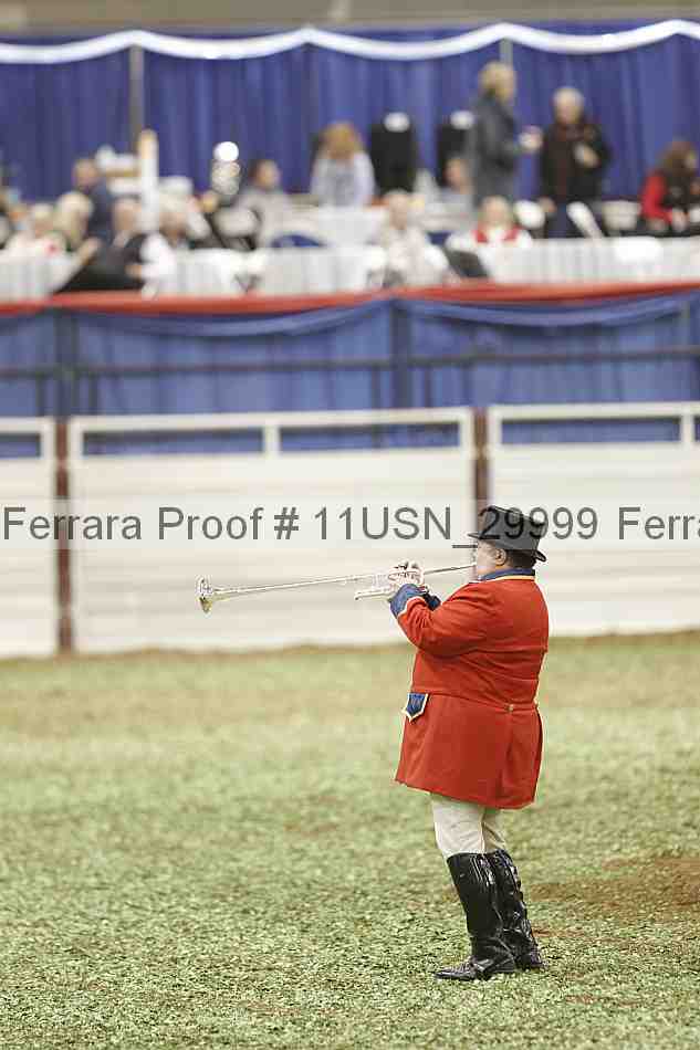 Proof 11usn_29999