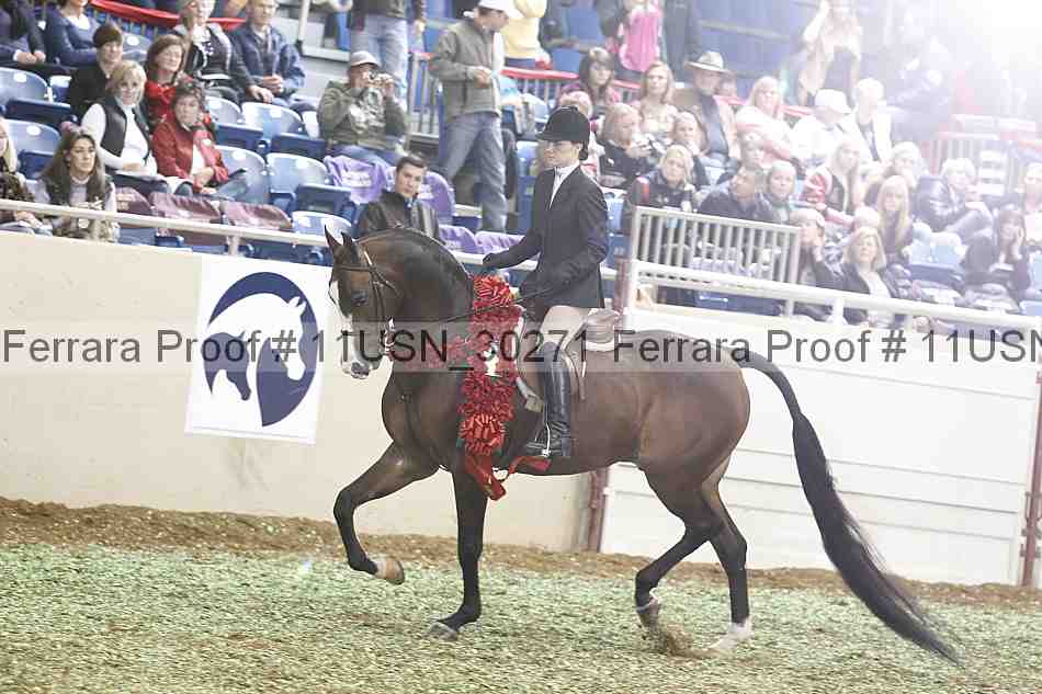 Proof 11usn_30271