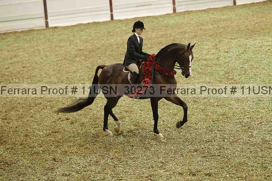 Proof 11usn_30273