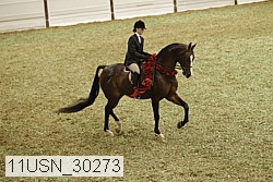 11usn_30273 proof