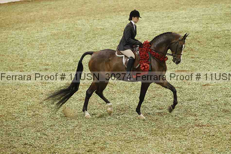Proof 11usn_30274