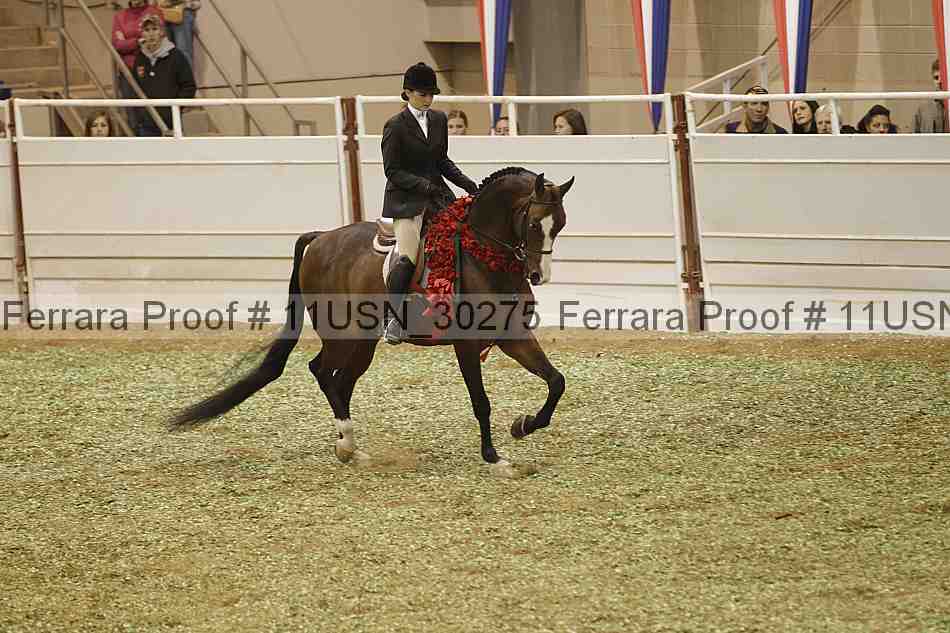 Proof 11usn_30275