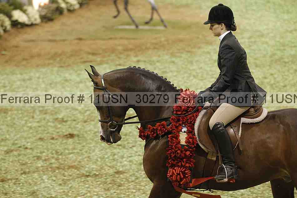 Proof 11usn_30279