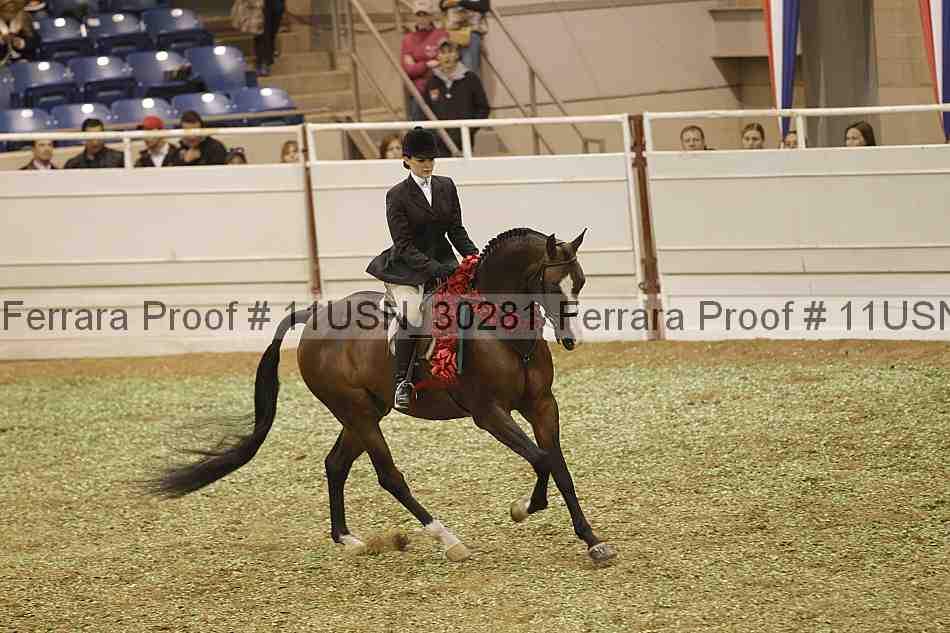 Proof 11usn_30281