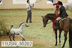 11usn_30282 proof