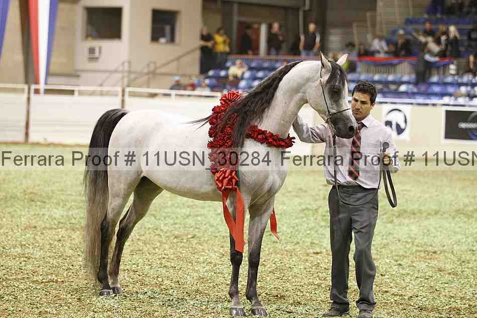 Proof 11usn_30284