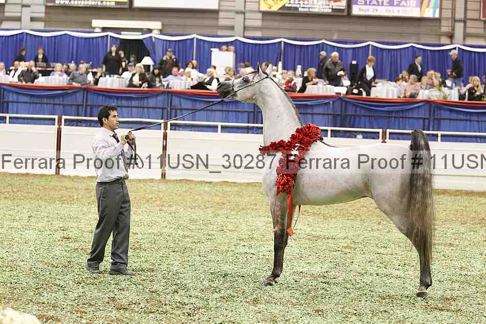 Proof 11usn_30287